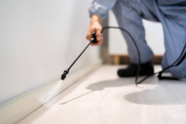 Licensed Pest Control service in Bridgeport, OH - Show Me Pest Control